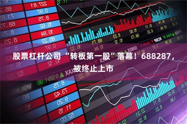 股票杠杆公司 “转板第一股”落幕！688287，被终止上市